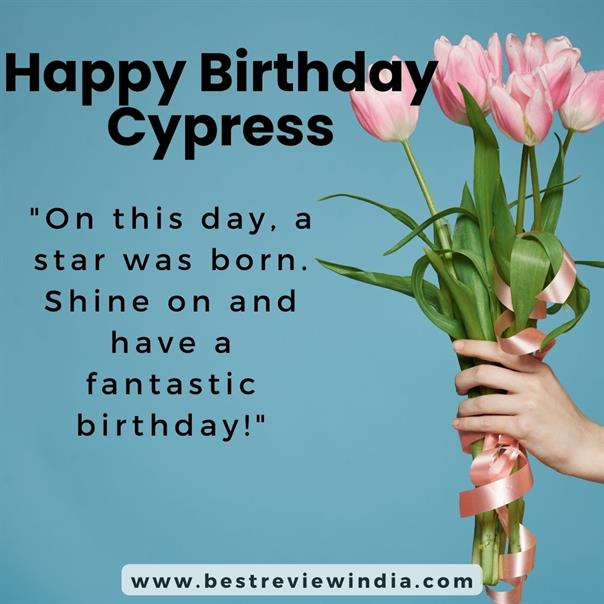Read more about the article Happy Birthday Cypress Wishes with Cake, Status & Quotes Images